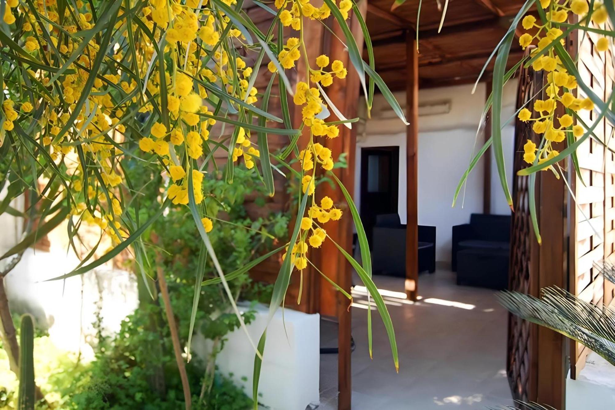 Apartment Sea Breeze - Sole Bari